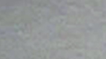 Kansas pagará un millón por omisión en muerte de niño de 7 años cuyo cuerpo fue devorado por cerdos