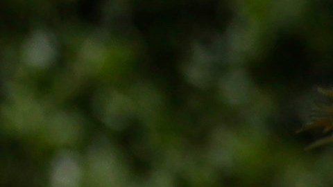 ONU establece que 2023 fue el año más mortífero jamás registrado para los migrantes, con casi 8,600 muertes