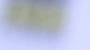 Julio César Chávez