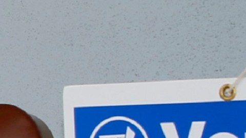 California y Texas son los estados donde más votantes latinos hay.