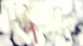 Priyanka Chopra y Nick Jonas disfrutan unas vacaciones familiares en India