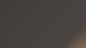 Timothée Chalamet firmó un acuerdo con Warner Bros. para protagonizar y producir nuevas películas