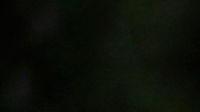 FILE- In this Oct. 23, 2018, file photo, students walk on the campus of Miami Dade College, in Miami. The nine companies and organizations tasked with servicing the accounts of the nation’s 30 million student loan borrowers repeatedly failed to do their jobs properly over a period of years and their regulator neglected to hold them responsible, a new report finds. The report released Thursday, Feb. 14, 2019, by the Department of Education’s independent Inspector General’s office shows some borrowers weren’t getting the guidance and protection they needed as they sought the best plan for paying off their student loans. (AP Photo/Lynne Sladky)