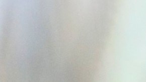 In this Wednesday, Aug. 27, 2019 photo, a dog is seen in the DeKalb County Animal Services shelter in Chamblee, Ga, about 13 miles (21 kilometers) northeast of Atlanta. LifeLine Animal Project in Atlanta manages a Pets for Life program that provides free services to pet owners in need. Officials say the program helps keep animals in their homes and out of the shelters, reducing shelter overcrowding. (AP Photo/Andrea Smith)