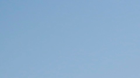 Agentes federales de la Patrulla Fronteriza son quienes realizan detenciones de inmigrantes en la frontera.