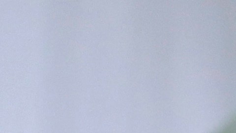 Georgia se suma a otros estados que buscan suplantar a las autoridades migratorias federales.