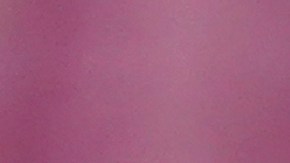 El portero del Real Madrid, Thibaut Courtois se lastimó este martes durante una sesión de entrenamiento del equipo blanco con la ausencia de los jugadores convocados a sus selecciones nacionales.