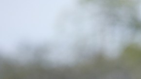 Violencia en Michoacán