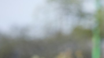 Violencia en Michoacán