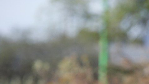 Violencia en Michoacán