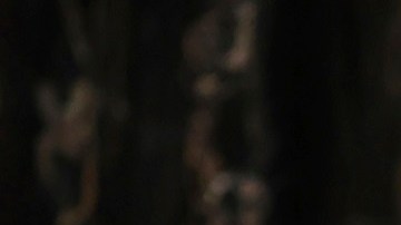 El presidente Biden dará su mensaje del Estado de la Unión este 7 de marzo a las 9:00 p.m. del Este.