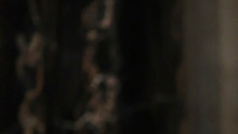 El presidente Biden dará su mensaje del Estado de la Unión este 7 de marzo a las 9:00 p.m. del Este.