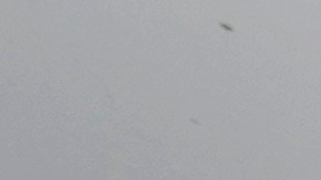 FILE - In this April 7, 2021 file photo, a Waymo minivan arrives to pick up passengers for an autonomous vehicle ride, in Mesa, Ariz. Waymo’s self-driving ride-hailing service is branching out to San Francisco. The Alphabet, Inc., autonomous vehicle unit said Wednesday, March 30, 2022, it has started carrying employees in electric Jaguar I-Pace SUVs without human backup drivers. (AP Photo/Ross D. Franklin, File)