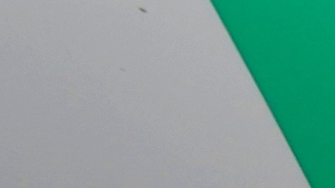 FILE - In this April 7, 2021 file photo, a Waymo minivan arrives to pick up passengers for an autonomous vehicle ride, in Mesa, Ariz. Waymo’s self-driving ride-hailing service is branching out to San Francisco. The Alphabet, Inc., autonomous vehicle unit said Wednesday, March 30, 2022, it has started carrying employees in electric Jaguar I-Pace SUVs without human backup drivers. (AP Photo/Ross D. Franklin, File)