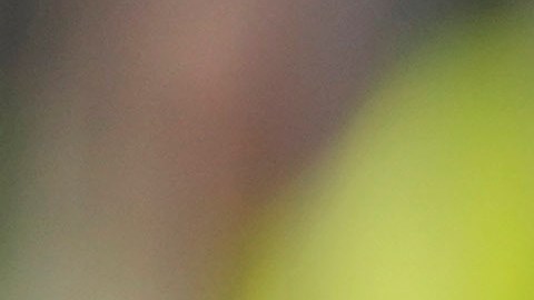 El piloto mexicano de Red Bull, Sergio "Checo" Pérez sigue demostrando que cuenta con el cariño de parte de la afición del equipo de la bebida energética.