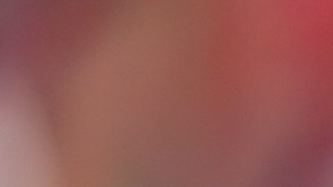 Former Philadelphia Phillies player Pete Rose during an alumni day event before a baseball game between the Phillies and the Washington Nationals, Sunday, Aug. 7, 2022, in Philadelphia. (AP Photo/Matt Rourke)