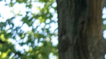 Los 'dreamers' han pedido al Congreso aprobar la Dream Act.