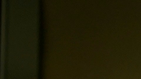 El gobierno de Biden aplicará la Ley CHIPS y Ciencia, que impulsa la industria de los semiconductores y la investigación científica, para asociarse con México.