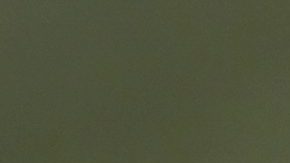 Plaga de ratas “asalta” bodega de narcóticos de la Policía de Nueva Orleans y devoran marihuana