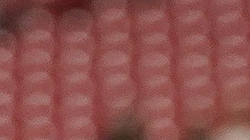 Honduras' Alberth Elis (7) during the first half of a CONCACAF Gold Cup soccer match against Qatar Thursday, June 29, 2023, in Glendale, Ariz. (AP Photo/Darryl Webb)