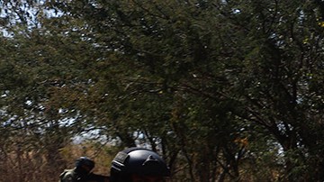 Soldados mexicanos