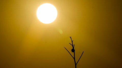 Este lunes se espera otra jornada calurosa en múltiples zonas de California.