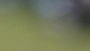 Tampa Bay Rays shortstop Wander Franco looks to second base after catching a fly out during a spring training baseball game against the New York Yankees, Tuesday, Feb. 28, 2023, in Kissimmee, Fla. (AP Photo/Phelan M. Ebenhack)