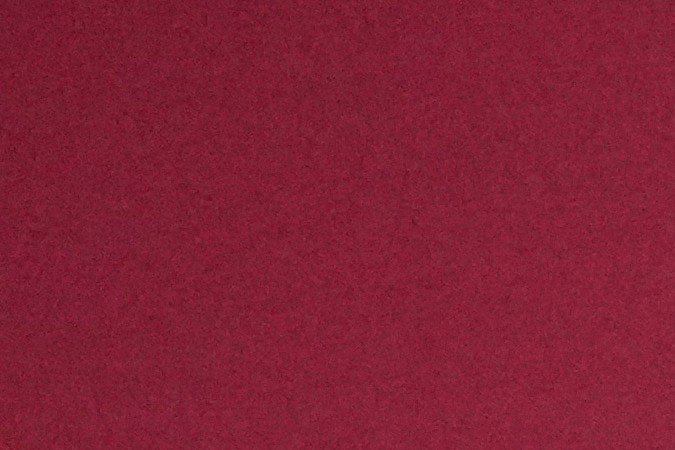 Ron DeSantis, gobernador de Florida.