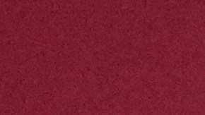 Ron DeSantis, gobernador de Florida.