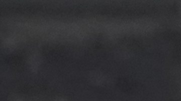 Carlos Vela sigue siendo agente libre.