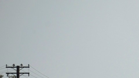 Al menos 8 de cada 10 hispanos en EE.UU. dicen que combatir el cambio climático mundial es una de sus principales preocupaciones.