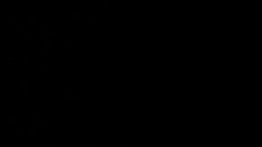 Trump agradece a sus seguidores por su "mayor victoria" hasta la fecha en el Súper Martes