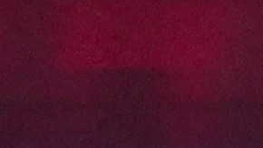 Kansas City Chiefs quarterback Patrick Mahomes gets pumped up prior to an NFL wild-card playoff football game against the Miami Dolphins Saturday, Jan. 13, 2024 in Kansas City, Mo. (AP Photo/Ed Zurga)