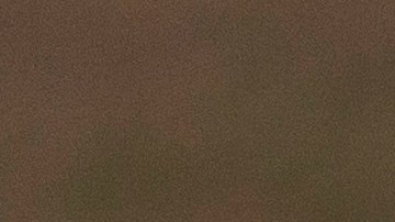 Renuncia el jefe de policía de Uvalde tras publicación de informe sobre el tiroteo en la primaria Robb