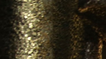 Premios Oscar