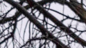 Workers clear storm debris from a Tuesday, Feb. 6, 2024, in the Sherman Oaks area of Los Angeles. (AP Photo/Ethan Swope)