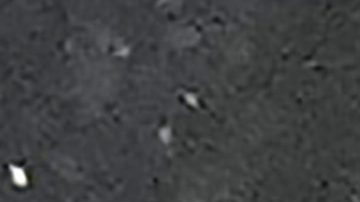 El Inter de Milán se lavó las manos sobre las acciones de su jugador.