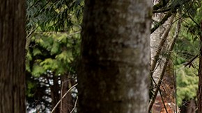 Campamento para personas sin hogar