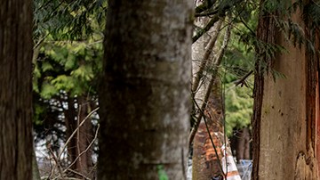 Campamento para personas sin hogar