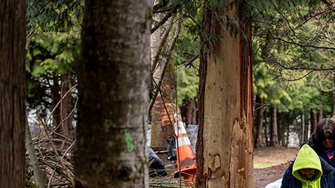 Campamento para personas sin hogar