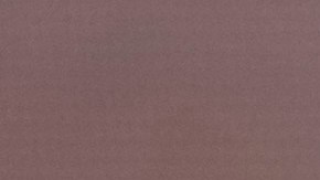 Publican la primera foto de Timothée Chalamet como Bob Dylan para la biopic del cantante