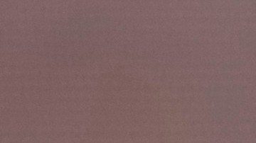 Publican la primera foto de Timothée Chalamet como Bob Dylan para la biopic del cantante