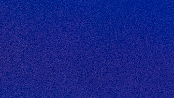 Peter Navarro participó en la Conferencia de Acción Política Conservadora, CPAC en Maryland, el 24 de febrero de 2024.