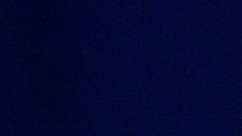 Trump y Biden logran victorias en el Súper Martes que los acercan a las nominaciones.