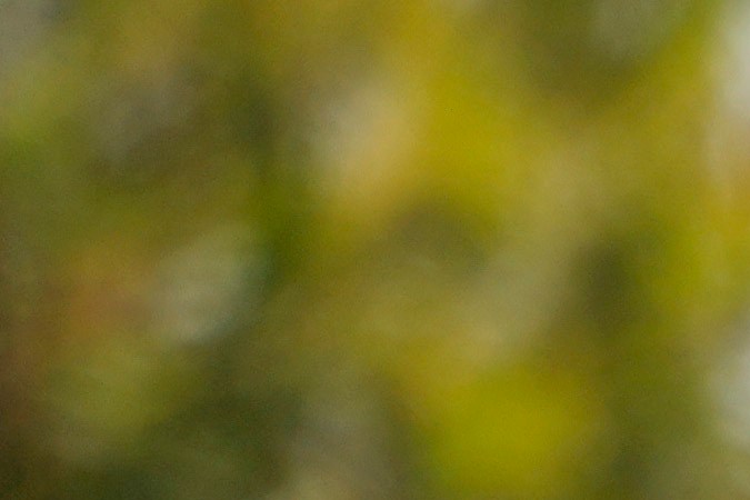 Max Verstappen acompañado por su padre durante el fin de semana del Gran Premio de Bahréin, primera prueba de la temporada 2024 de la F1 en la que el piloto de Red Bull se quedó con la victoria.