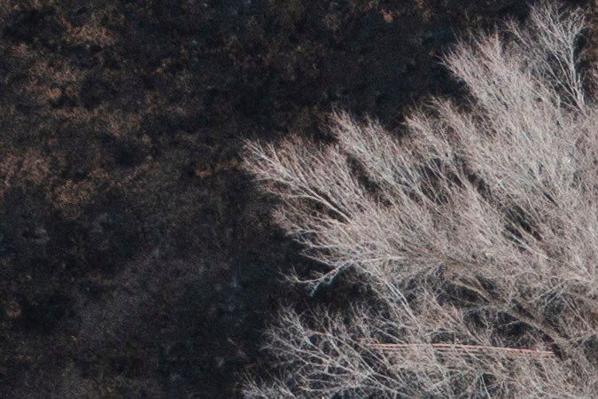 Incendios forestales en Texas: Al menos dos muertos y casi 1,3 millones de acres quemados