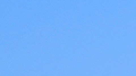 Incendios causan estragos en la industria ganadera de Texas: más de 3,600 reses han muerto