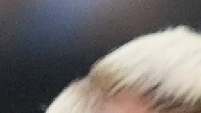 Inter Miami forward Luis Suarez (9) shoots past Orlando City defender Robin Jansson (6) to score his side's second goal during the first half of an MLS soccer match, Saturday, March 2, 2024, in Fort Lauderdale, Fla. (AP Photo/Rebecca Blackwell)