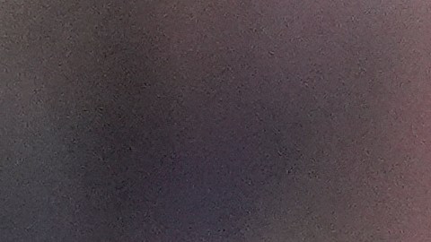 Inter Miami forward Lionel Messi runs after scoring against Orlando City during the second half of an MLS soccer match Saturday, March 2, 2024, in Fort Lauderdale, Fla. (AP Photo/Rebecca Blackwell)