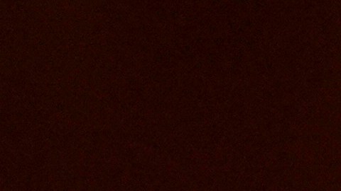 Nueva acusación de agresión contra Jonathan Majors por parte de su ex novia